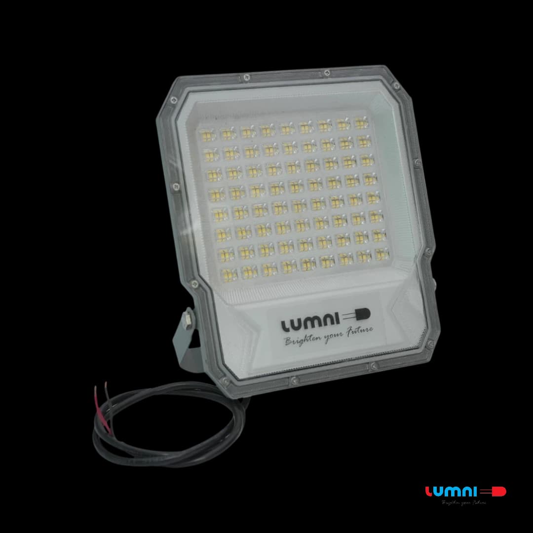 FLOOD LIGHT-100W-No Warranty - LED Bulbs & Lights by Lumni Power Tech
